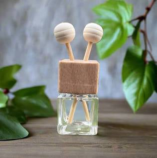 Desk Top/Vent Clip Car Diffuser